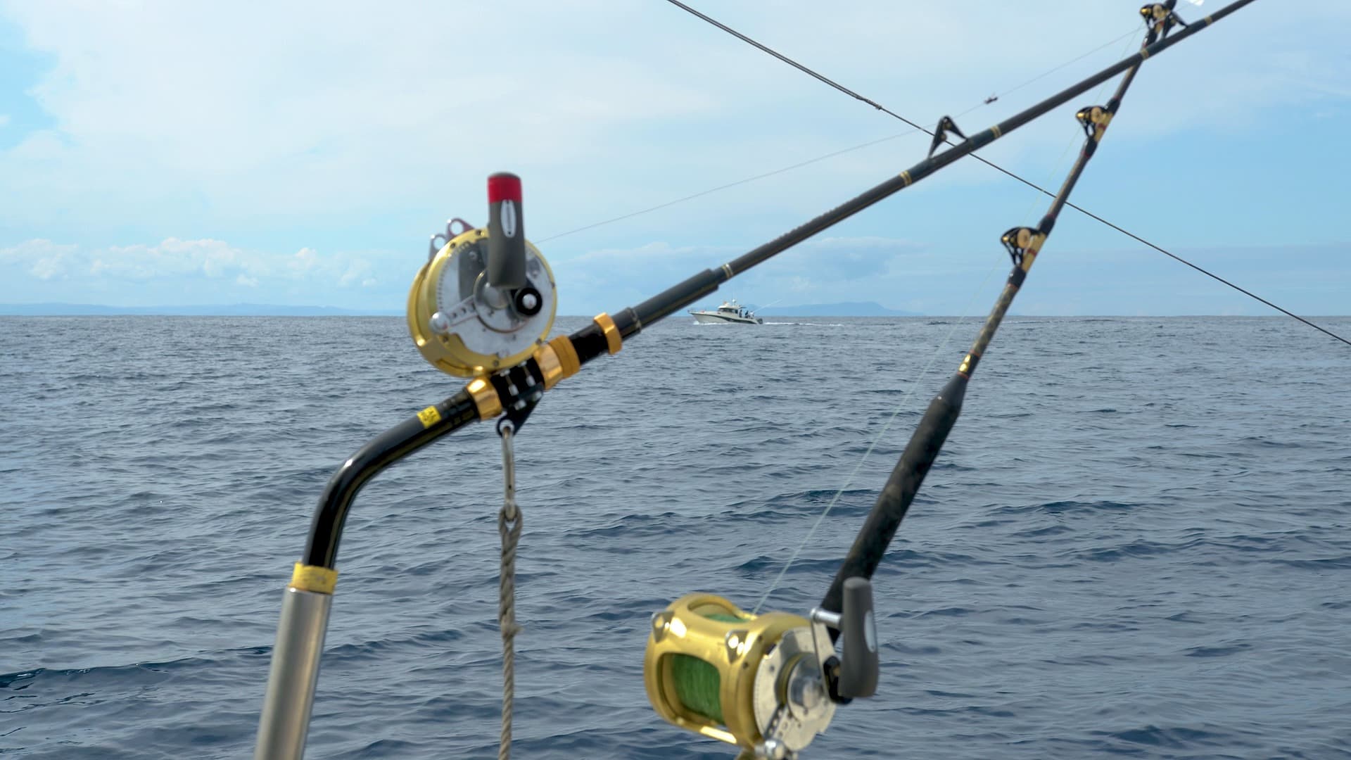Spinning, Conventional and Electric, The Reels That Fish the Red Sea
